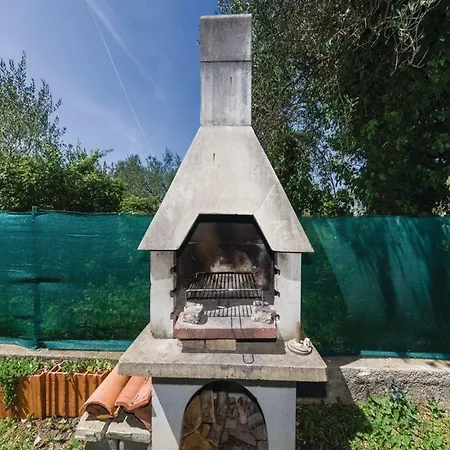 Mare * Bibinje